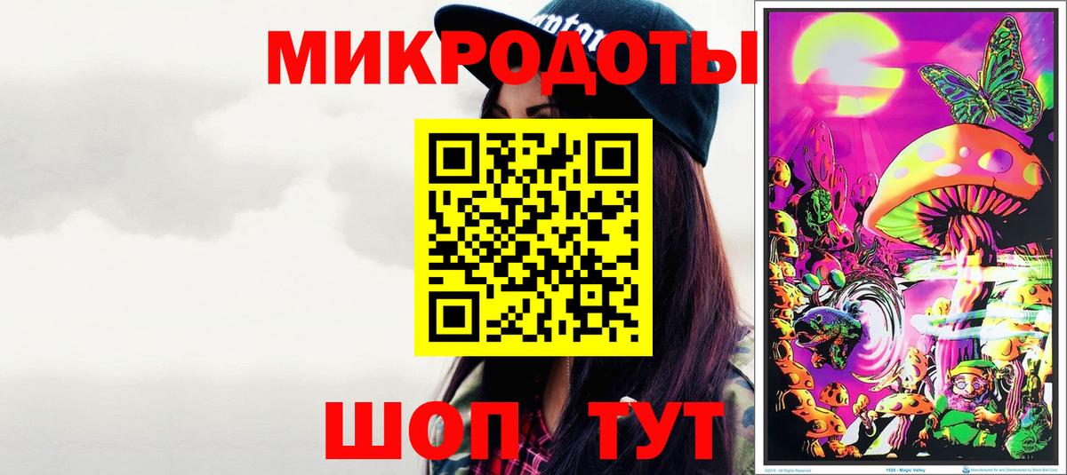Псилоцибиновые грибы Psilocybe Азов