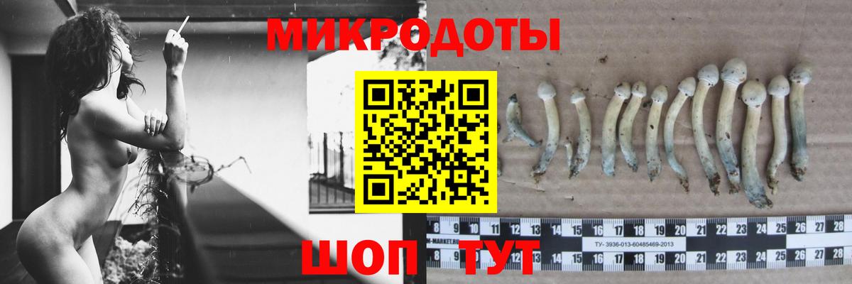 купить наркотик  Псилоцибиновые грибы ЛСД  Вход с VPN  Азов 